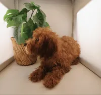 processed/24decea9-f5be-442a-b401-d79a1c61e386/listing/fd3f4785-ffb9-4b41-ba30-94351097250a/aadc402f-3e3d-45d5-8ee1-edd49ba94161