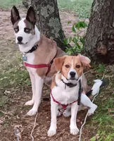 processed/24e61ce6-7063-41b1-a703-e66ab4d9b6ce/facility/39b867b7-c3b4-45c5-87e1-eb823dba013d