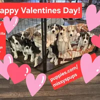 processed/24e61ce6-7063-41b1-a703-e66ab4d9b6ce/facility/8b057d0a-994e-4b0a-8964-074a59c8d600