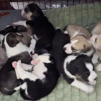 processed/24e61ce6-7063-41b1-a703-e66ab4d9b6ce/facility/8fd9acc7-b29f-4e52-89e1-760005bd0b62