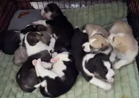 processed/24e61ce6-7063-41b1-a703-e66ab4d9b6ce/facility/8fd9acc7-b29f-4e52-89e1-760005bd0b62