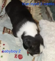 processed/24e61ce6-7063-41b1-a703-e66ab4d9b6ce/listing/70d6cac2-fcc4-4b0a-9777-0142e84997ad/07cdf306-a71e-4924-964f-3f03eb73b9ef