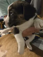 processed/24e61ce6-7063-41b1-a703-e66ab4d9b6ce/listing/70d6cac2-fcc4-4b0a-9777-0142e84997ad/e9bf7423-a281-482e-a0c1-c4246d191371