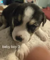 processed/24e61ce6-7063-41b1-a703-e66ab4d9b6ce/listing/7180773d-71d2-4516-8e36-30a1cfffeb7d/fbb5aef0-0bc8-439d-a11f-79dfeb18ad10