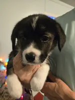 processed/24e61ce6-7063-41b1-a703-e66ab4d9b6ce/listing/a0f9acd3-304a-4785-8fb0-92365ebfc5c2/43960934-cdfb-4957-947e-7d87c07e0eb2