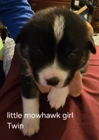 processed/24e61ce6-7063-41b1-a703-e66ab4d9b6ce/listing/a0f9acd3-304a-4785-8fb0-92365ebfc5c2/f3f28e23-1557-41be-ac8d-a3461199b767