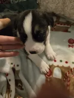 processed/24e61ce6-7063-41b1-a703-e66ab4d9b6ce/listing/c77eef58-1d67-4a13-b371-12da4490ed73/5810ff21-2ff3-4248-bf0a-4f4955ef68f9