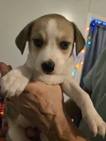 processed/24e61ce6-7063-41b1-a703-e66ab4d9b6ce/listing/e4541144-4fbc-4a94-98cf-ec87789b5d03/574305e7-ca9c-4c87-b913-ccb9f014b671