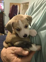 processed/24e61ce6-7063-41b1-a703-e66ab4d9b6ce/listing/e4541144-4fbc-4a94-98cf-ec87789b5d03/af904eb1-c03a-4593-8a5b-7f0e46e62f9f