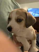 processed/24e61ce6-7063-41b1-a703-e66ab4d9b6ce/listing/e4541144-4fbc-4a94-98cf-ec87789b5d03/bffa045e-ca21-409e-9501-9747d655e7b4