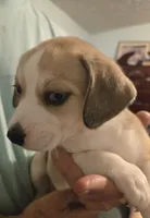 processed/24e61ce6-7063-41b1-a703-e66ab4d9b6ce/listing/e4541144-4fbc-4a94-98cf-ec87789b5d03/cf53accc-5c80-44a1-bd9c-c1b86b3c07a4