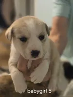 processed/24e61ce6-7063-41b1-a703-e66ab4d9b6ce/listing/ed4925d1-21e2-46c0-aef1-9dd8b0df8b0a/7fbe5377-ea47-41e2-a6b3-d7f49b2e1fa8