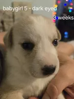 processed/24e61ce6-7063-41b1-a703-e66ab4d9b6ce/listing/ed4925d1-21e2-46c0-aef1-9dd8b0df8b0a/c8cdd78b-448c-4b52-9363-074414502710