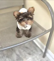 processed/24fe792b-2799-4355-b357-c591468bc480/listing/17338301-46d1-42e4-a4b6-f54f3199e6e1/8a768217-4aef-4c13-9bec-eb1ed04db766