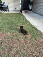 processed/24fe792b-2799-4355-b357-c591468bc480/listing/17338301-46d1-42e4-a4b6-f54f3199e6e1/b658109b-4d5b-41e2-bdae-b66994e1cff8