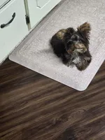 processed/24fe792b-2799-4355-b357-c591468bc480/listing/17338301-46d1-42e4-a4b6-f54f3199e6e1/c5f4be45-5668-4537-955d-c0b0fe9330f7