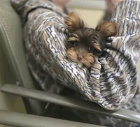 processed/24fe792b-2799-4355-b357-c591468bc480/listing/17338301-46d1-42e4-a4b6-f54f3199e6e1/e984ba8e-cba8-4dcc-a801-da64ae656d44