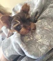 processed/24fe792b-2799-4355-b357-c591468bc480/listing/17338301-46d1-42e4-a4b6-f54f3199e6e1/f5146823-1534-4ee7-ba8f-9dc51725d1b9