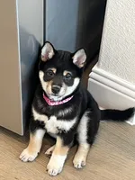 processed/25109258-296d-4ba4-8b0e-40bdab5dfac6/listing/33898bac-d50e-4186-a699-9d93e21a4c59/97e73ee1-9530-4a08-b438-8b37c3d961ff