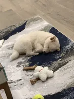 processed/25109258-296d-4ba4-8b0e-40bdab5dfac6/listing/ce412608-9e80-428b-b02d-dea9a6fe08e5/2464e80b-5b64-4cec-81fc-8f7fd13f2c17