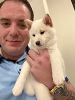 processed/25109258-296d-4ba4-8b0e-40bdab5dfac6/listing/ce412608-9e80-428b-b02d-dea9a6fe08e5/32e925eb-c3a4-4591-bad5-5e81a8add3fd