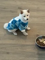 processed/25109258-296d-4ba4-8b0e-40bdab5dfac6/listing/ce412608-9e80-428b-b02d-dea9a6fe08e5/a83f8f86-dd64-4cc8-9bc8-5ee0aa66ac6b