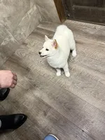 processed/25109258-296d-4ba4-8b0e-40bdab5dfac6/listing/ce412608-9e80-428b-b02d-dea9a6fe08e5/e5063f00-d0ec-4a8b-877a-e8423abc2421