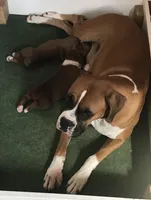 processed/252681ea-1ee8-486b-944a-a6886b77dab2/facility/26db3cad-2230-419e-8a77-0ab6e5546efd