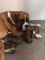 processed/252681ea-1ee8-486b-944a-a6886b77dab2/facility/836a38ec-93a3-4a7c-9cd6-ea9347806996