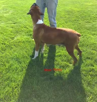 processed/252681ea-1ee8-486b-944a-a6886b77dab2/facility/96e7bb20-67cf-4b3a-9f47-52f5c69b5b0f