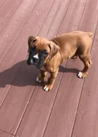 processed/252681ea-1ee8-486b-944a-a6886b77dab2/facility/a5627ac9-e5d8-48d1-bfbc-edf38609a55f