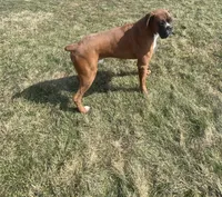 processed/252681ea-1ee8-486b-944a-a6886b77dab2/facility/b05fa8bf-5459-42c8-bd10-d8b3c889086e