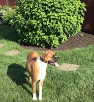 processed/252681ea-1ee8-486b-944a-a6886b77dab2/facility/b9899a8f-fe8f-48ff-9c35-8a8c564e54c6