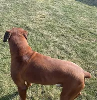 processed/252681ea-1ee8-486b-944a-a6886b77dab2/facility/d4727aa1-b9c3-45cc-9a99-fb83335a24b6