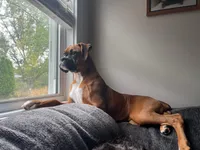 processed/252681ea-1ee8-486b-944a-a6886b77dab2/facility/f708daff-c462-499d-b450-2d03bbeaf5ea