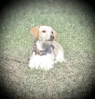 processed/252cf227-79ab-4f3d-8b62-f8f758b563db/listing/1e784b9d-ee37-47d2-b3e8-0aaa0c3bfda4/28c13def-4fce-4a2d-acc3-a058ffbb08e3