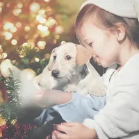 processed/252cf227-79ab-4f3d-8b62-f8f758b563db/listing/1e784b9d-ee37-47d2-b3e8-0aaa0c3bfda4/8ca4f501-32be-4fde-9142-493107b26490