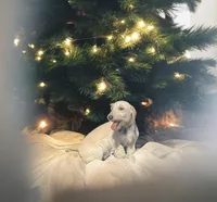 processed/252cf227-79ab-4f3d-8b62-f8f758b563db/listing/9b7baac3-a263-4989-aa58-a2e6ef817258/45d7a769-5ee9-4926-baa2-aa76fc022c33