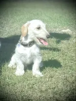 processed/252cf227-79ab-4f3d-8b62-f8f758b563db/listing/9b7baac3-a263-4989-aa58-a2e6ef817258/63033fa3-5b1d-4ca0-9937-9672e2a5b623