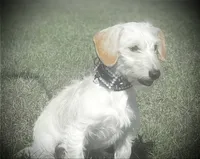 processed/252cf227-79ab-4f3d-8b62-f8f758b563db/listing/9b7baac3-a263-4989-aa58-a2e6ef817258/9c177aaf-64cd-4e0f-b7ac-3aff9c599433