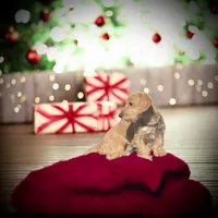 processed/252cf227-79ab-4f3d-8b62-f8f758b563db/listing/ee882d78-18e5-4885-a9ac-d16c38717867/73f4f864-29bf-4034-aa4f-cc6c4e6507fa