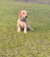 processed/252cf227-79ab-4f3d-8b62-f8f758b563db/listing/ee882d78-18e5-4885-a9ac-d16c38717867/77b2efd2-7407-45fd-9bc0-dc9c353dac95