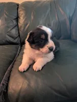 processed/25326645-ba3c-4787-99b5-a28be5341c78/listing/2e0f25a5-1b29-408f-a82e-8f0f4e590b11/2ef45bb1-50d1-41ba-8404-0a0201c2a20d