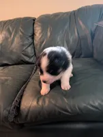 processed/25326645-ba3c-4787-99b5-a28be5341c78/listing/2e0f25a5-1b29-408f-a82e-8f0f4e590b11/a9b6f814-bdef-4716-922d-157be665e049