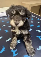 processed/2539bc02-e503-49b4-a798-dabf0b9affe3/listing/722abf35-be41-4ac1-987c-f5190d92bb32/55876764-0934-41b3-b2fe-7667c46cac36