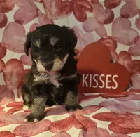 processed/2539bc02-e503-49b4-a798-dabf0b9affe3/listing/722abf35-be41-4ac1-987c-f5190d92bb32/dd561f4d-62a6-4002-9340-de3690c275db