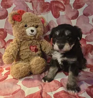 processed/2539bc02-e503-49b4-a798-dabf0b9affe3/listing/722abf35-be41-4ac1-987c-f5190d92bb32/f7414564-d552-4e72-a369-bbfa07abceb1