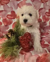 processed/2539bc02-e503-49b4-a798-dabf0b9affe3/listing/7d0675a7-785e-4aaa-92dc-14612ccb40e5/38d64ddf-3e88-4d0e-923a-69d6c7767140