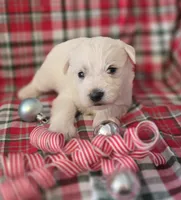 processed/2539bc02-e503-49b4-a798-dabf0b9affe3/listing/7d0675a7-785e-4aaa-92dc-14612ccb40e5/59742615-6914-49e9-aec4-4f5d44892d42