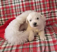 processed/2539bc02-e503-49b4-a798-dabf0b9affe3/listing/7d0675a7-785e-4aaa-92dc-14612ccb40e5/62ac8176-a9ba-45fb-9cee-a562244b32f5